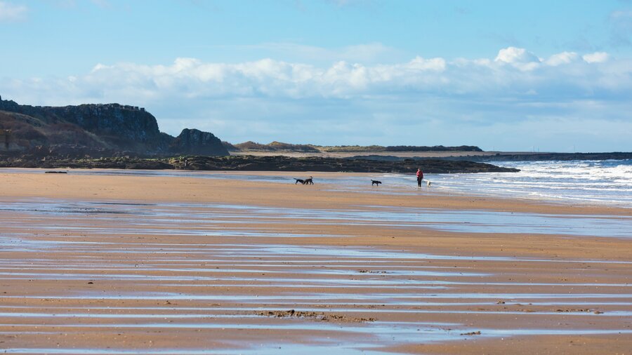 Place to eat in Gullane