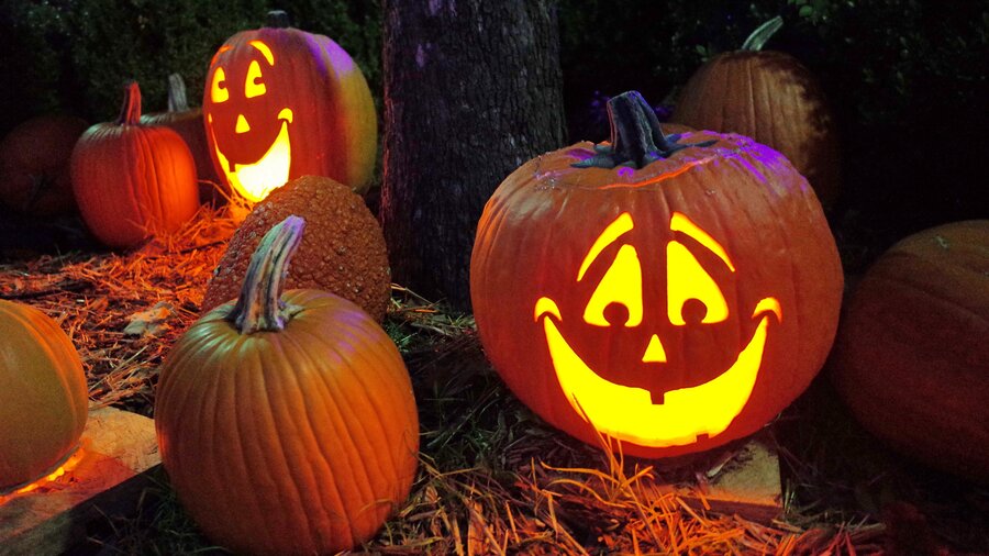 Carved pumpkins at East Lothian - Carved pumpkins with happy faces with a light inside. (© Robert Linder on Unsplash)