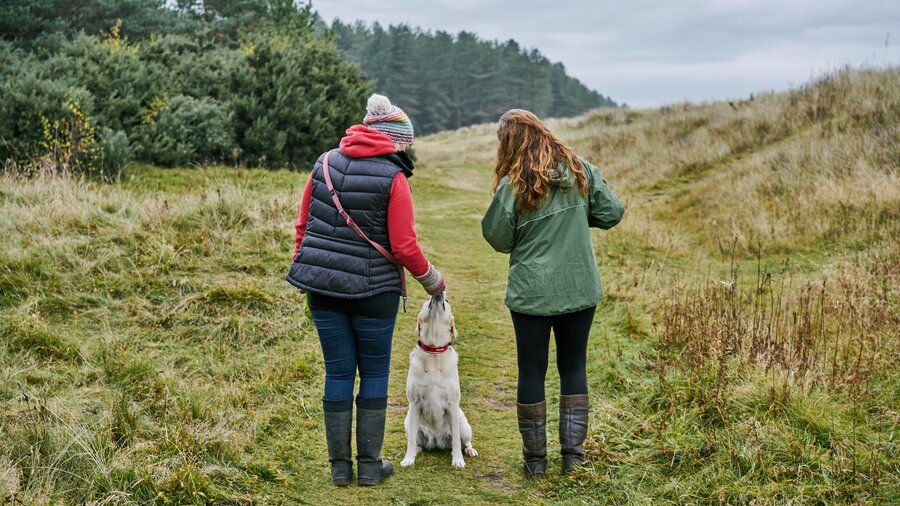Dog-friendly walks in East Lothian