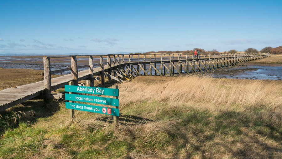 Aberlady Bay Local Nature Reserve (© Visit Scotland)